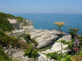 Mahkeme ve noter yeminli Almanca Tercüman, İstanbul-Avcılar